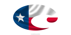 Costa Del Mar TEXAS FLAG DECAL Unisex Assorted Accessory JD4ZT821